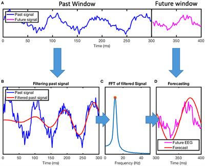 A Fast EEG Forecasting Algorithm for Phase-Locked Transcranial Electrical Stimulation of the Human Brain